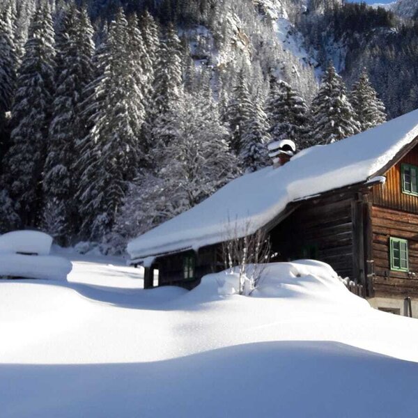 Hut