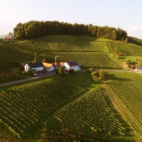 The farmhouse is situated amidst expansive vineyards on rolling hills, featuring multiple buildings and a connecting road.