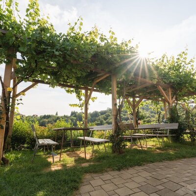 Outdoor seating area under a grapevine-covered pergola with tables and benches at the Haus.