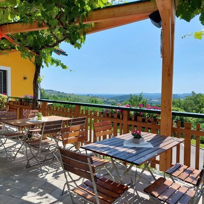The terrace of the Haus, featuring wooden tables and chairs under a grapevine-covered pergola and a view of the landscape.