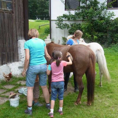 Guests, including children, grooming horses on the grounds of the Farm House.