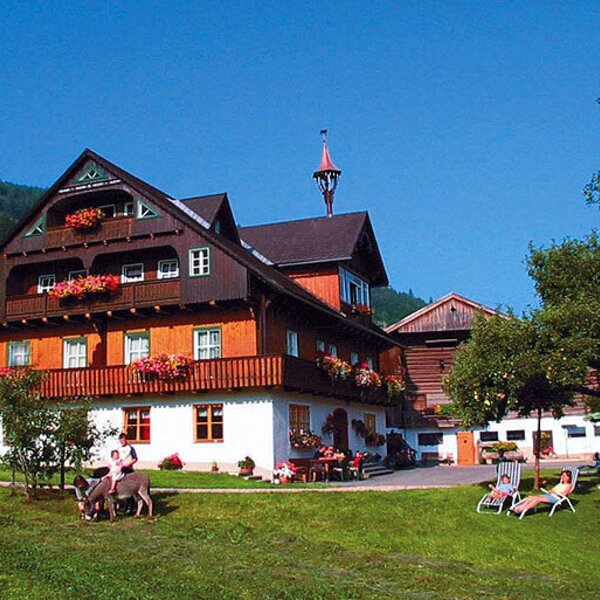 The farm house exterior features flower-filled balconies, a spacious garden lawn with sun loungers, and a children's play area, all set against a mountain backdrop.