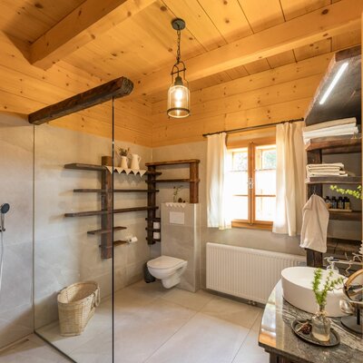 Bathroom in the Bed and Breakfast with a shower cabin, toilet, sink, wooden shelves, and a window.
