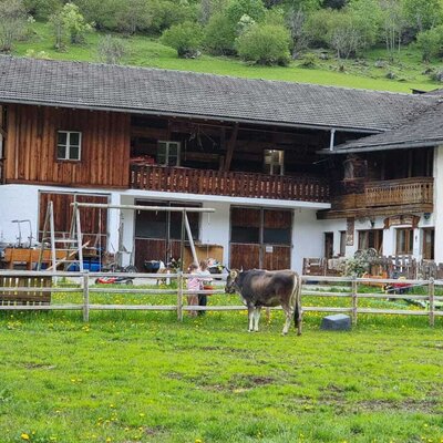 This is what a farm holiday looks like. Nature, animals and plenty of space to explore right outside the front door.