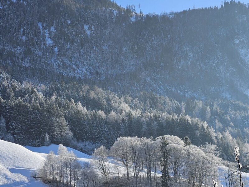 The surrounding winter mountain landscape from the Farm House, featuring snow-covered forests and frosted trees.