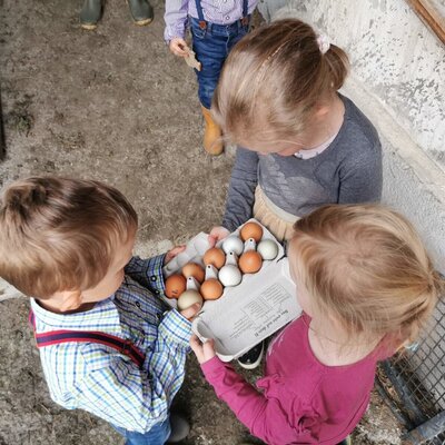 Children holding a carton of fresh eggs gathered at the Farm House.