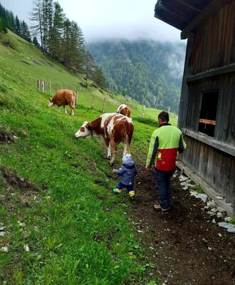 the diligent helpers
