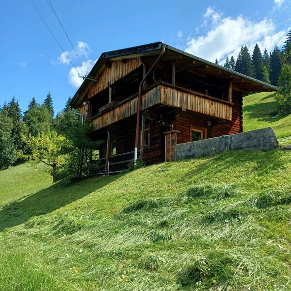 The rustic Alm is set on a sunny grassy slope, surrounded by green forests under a clear blue sky.