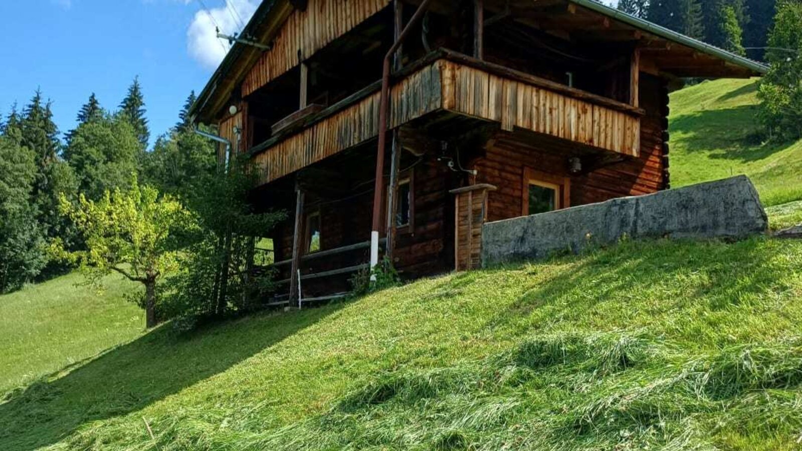 The rustic Alm is set on a sunny grassy slope, surrounded by green forests under a clear blue sky.