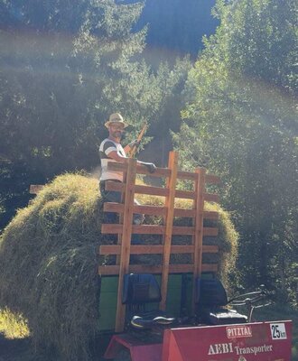 A sunny day of traditional hay harvesting near the apartments in Pitztal.