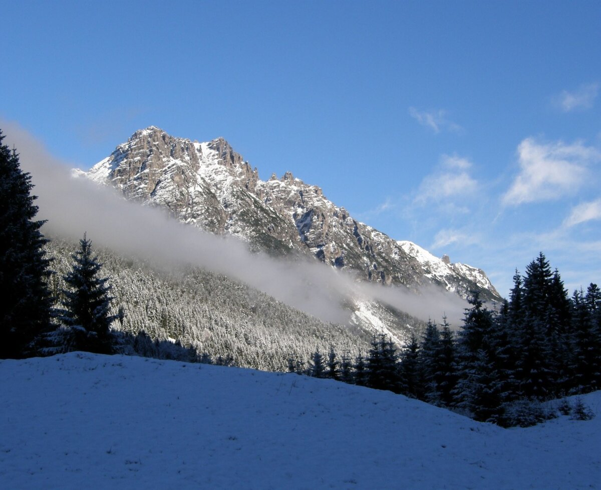 Experience nature in an eco-conscious way. Berghof am Schwand, hiking in the snow