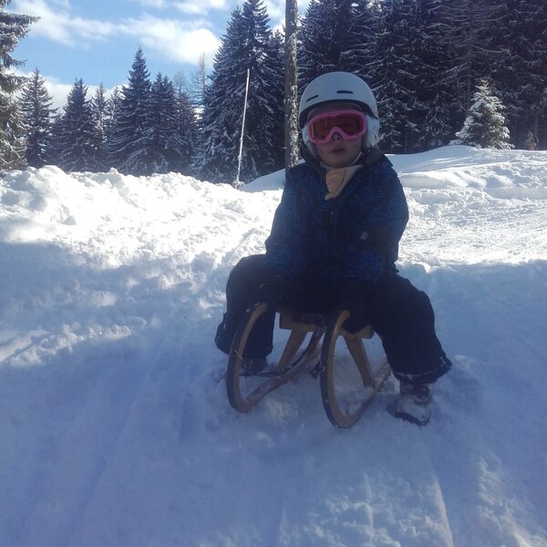 A child on a wooden sled in a snowy landscape with pine trees, highlighting winter activities available near the farmhouse.