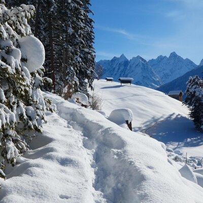 Winter hiking, a nature experience for body, mind, and soul, Biohof Inntalblick