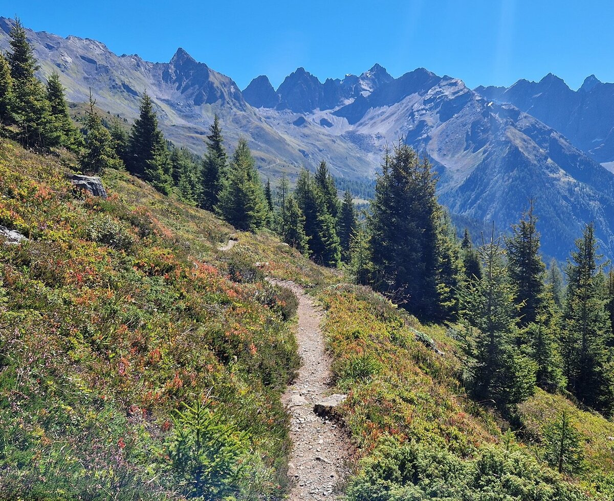 Hiking trail amidst nature, inviting to explore, Biohof Inntalblick