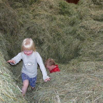 Feed supply for our animals, we would like to pass on this value to them with all their senses, from the grass seed to the feeding table, Inntalblick Organic Farm