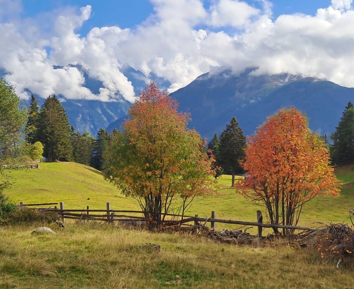 It's getting colorful, enjoy autumn, organic farm Inntalblick