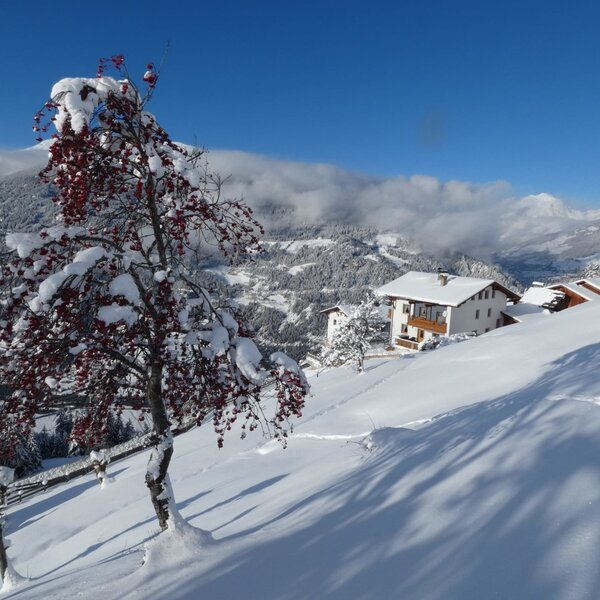 Biohof-Inntalblick, nestled in winter white