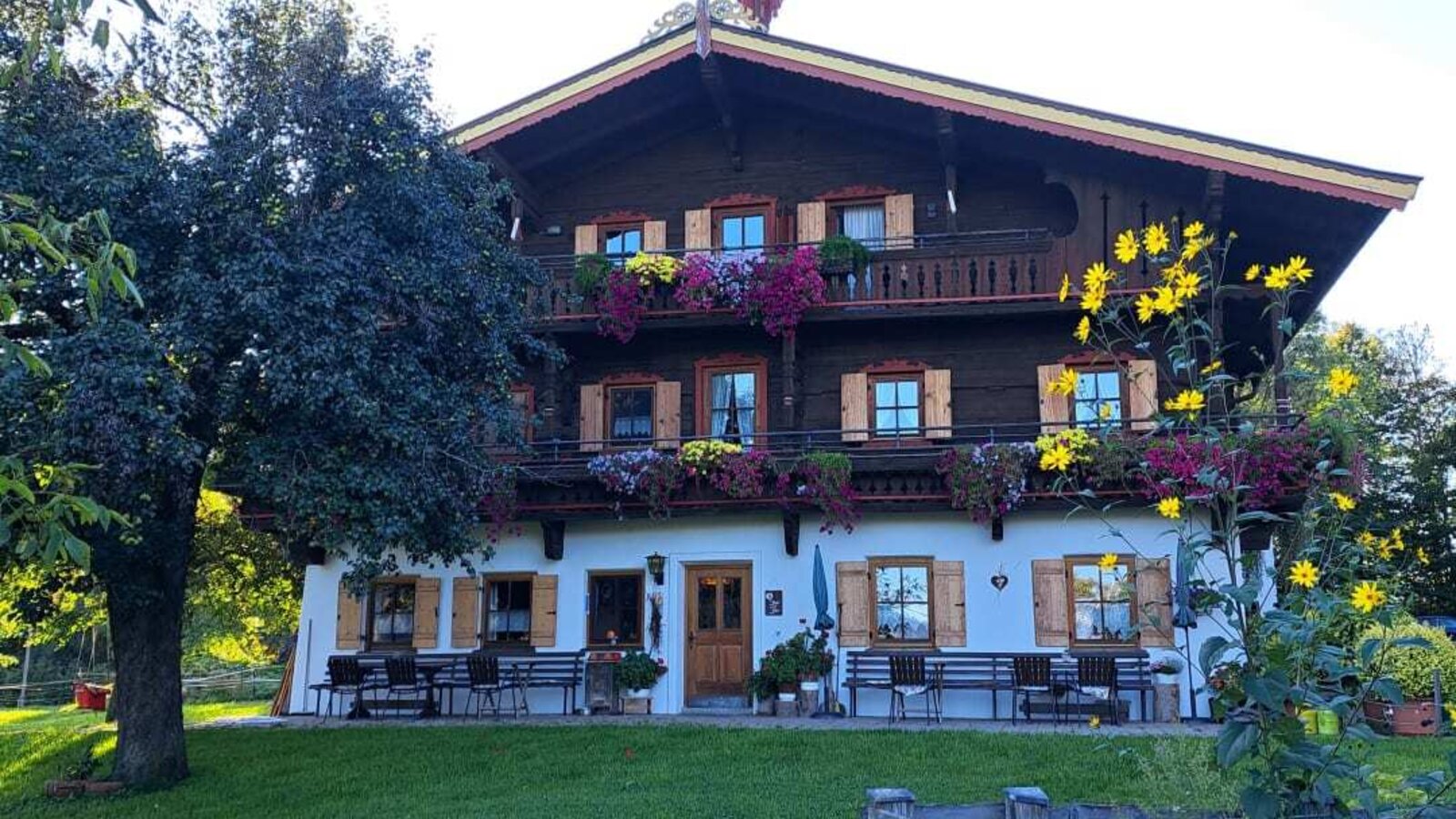 Exterior view of the farm