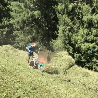 A person operates farm machinery to cut hay on the grassy fields of the Farm House, bordered by forest trees.