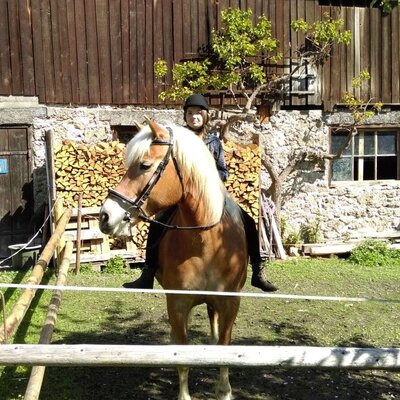 A guest riding a horse on the Alpine Hut's grounds, featuring a rustic stone and wood building with stacked firewood.