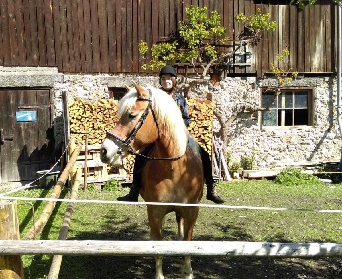 A guest riding a horse on the Alpine Hut's grounds, featuring a rustic stone and wood building with stacked firewood.