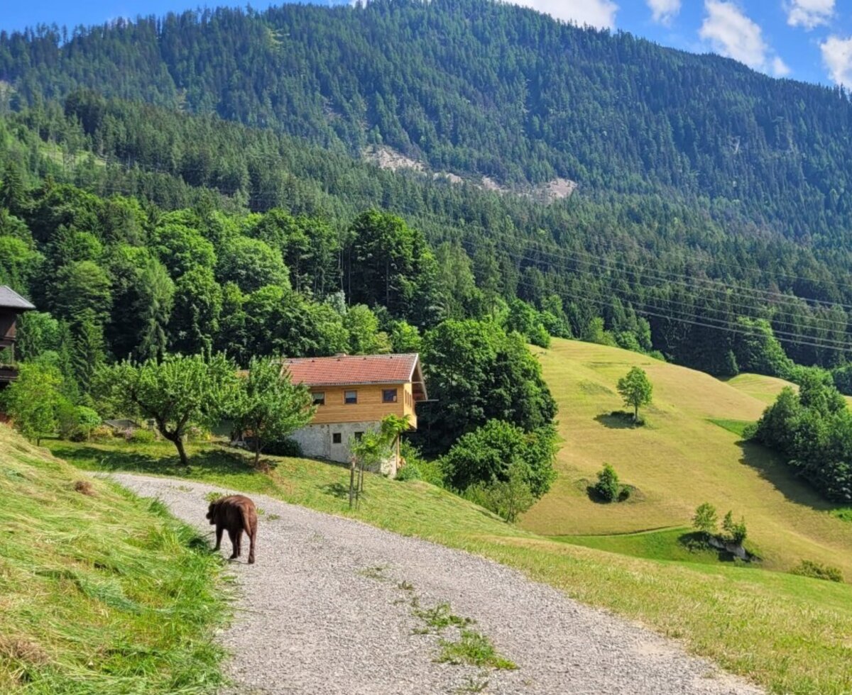 The farmhouse exterior set amidst green fields and forested mountains, with one of the property's farm animals on the gravel path.