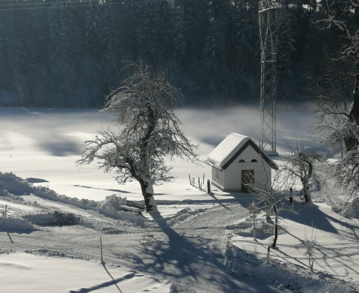 Winter landscape