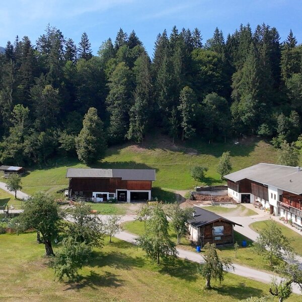 The inviting farmhouse, nestled in an idyllic meadow landscape at the edge of the forest.