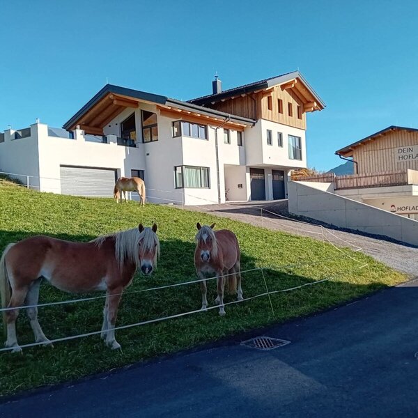 Exterior view of the Ferienwohnung with an adjacent farm shop and horses in the meadow.