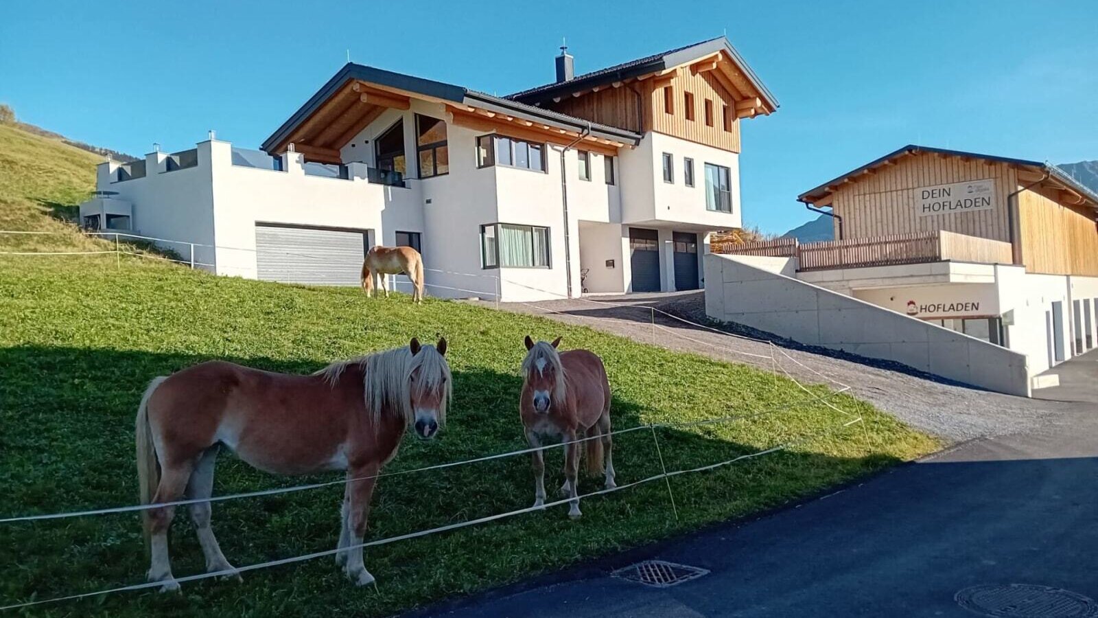 Exterior view of the Ferienwohnung with an adjacent farm shop and horses in the meadow.