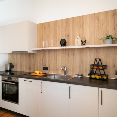 Modern kitchen of the holiday apartment with oven, induction hob, sink, refrigerator, kettle, and coffee machine.