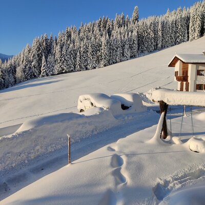 Winter landscape of the Alm with deeply snow-covered trees and a house under a clear blue sky.