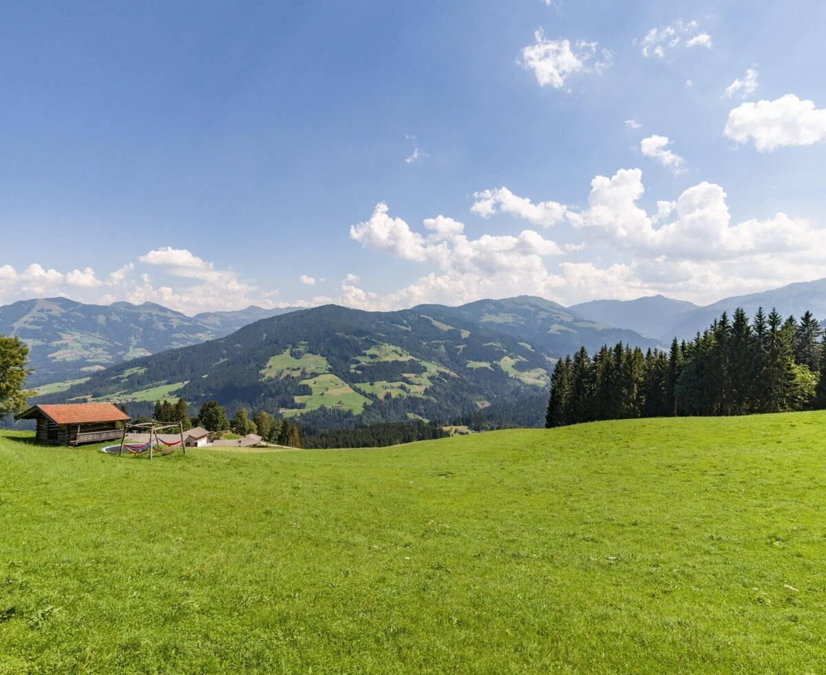 View from the Flecklhütte with a wide green meadow, a wooden hut with hammocks and mountain view.