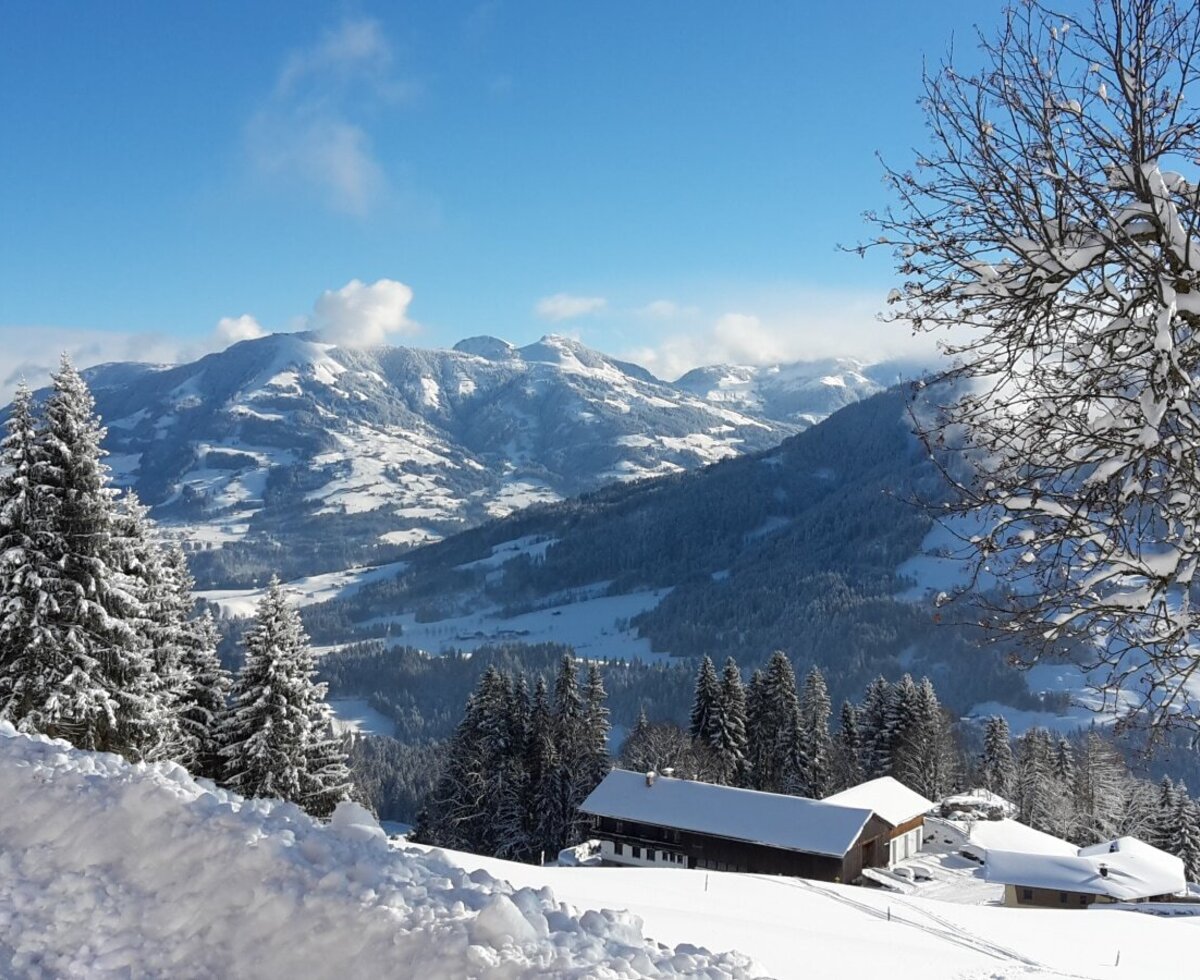 Winter landscape around the Alm, surrounded by snow-covered trees and mountains.