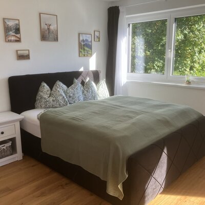 An inviting double room in the Bed and Breakfast with a comfortable plush bed, warm wooden floors, and a bright window overlooking lush green trees.