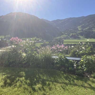 The bed and breakfast's sunny garden with a lush lawn and scenic mountain views.