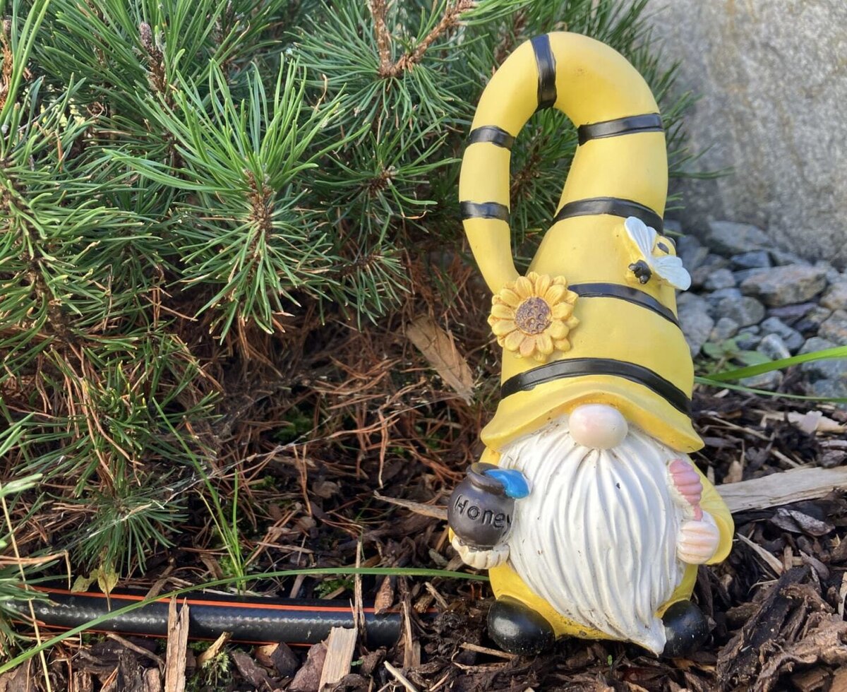 A charming bee-themed garden gnome nestled among the greenery in the bed and breakfast's garden.