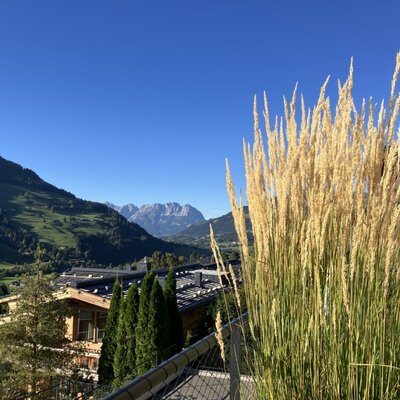 A scenic view from the bed and breakfast's balcony, overlooking lush green hills and distant mountain peaks.