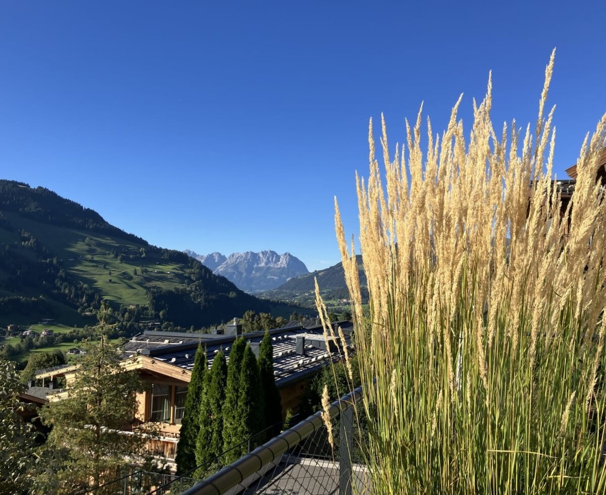 A scenic view from the bed and breakfast's balcony, overlooking lush green hills and distant mountain peaks.