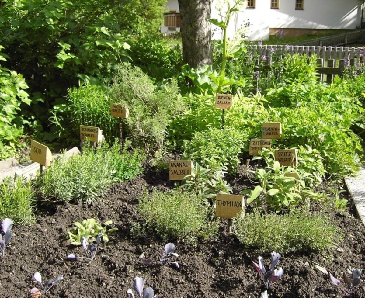 Herb garden