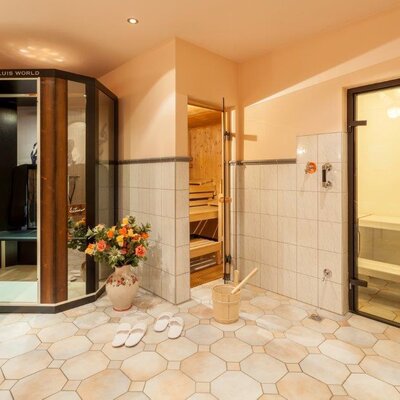 Infrared cabin,Finnish sauna,Steam sauna