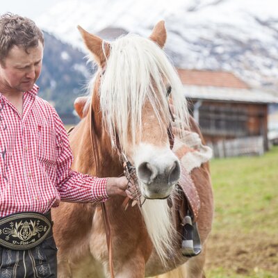 horse