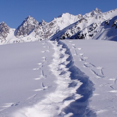 The impressive snow-covered mountains and winter landscape surrounding the Farm House, featuring a path through the snow.