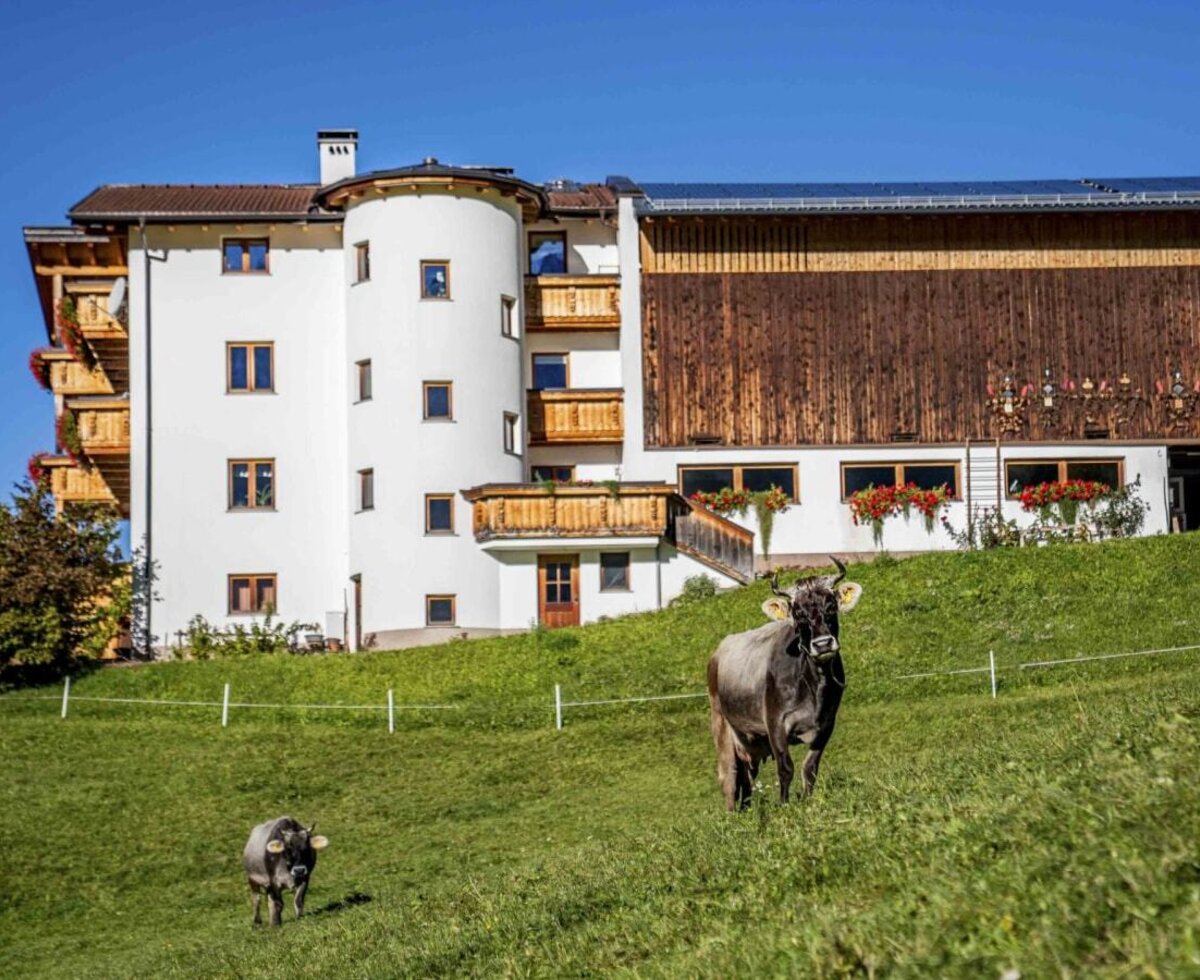 The Bauernhof building with a white facade, wooden balconies, and a barn section, situated on a green hillside with grazing cows.