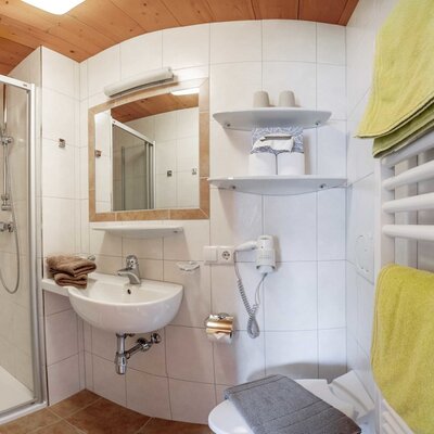 Bathroom in the farmhouse with a shower, sink, mirror, toilet, and towel warmer.