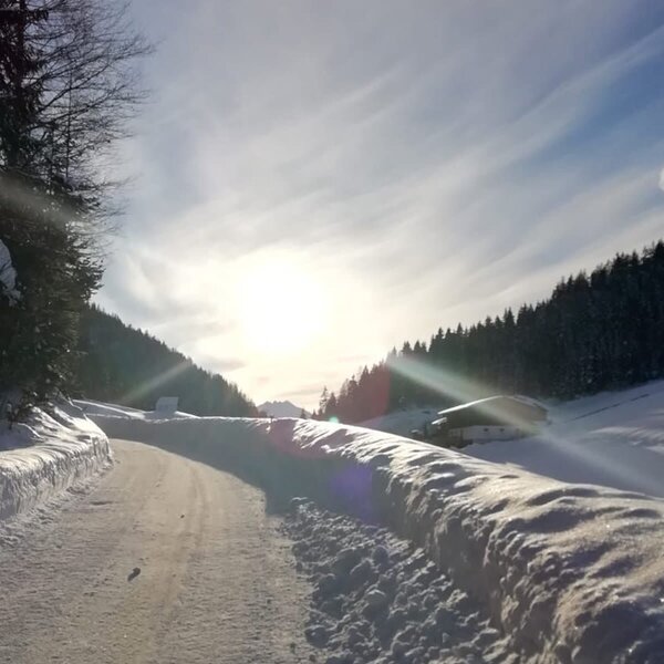 A snow-covered road leading towards the farm house, set amidst forested hills. A snow-covered road leading towards the farm house, set amidst forested hills.