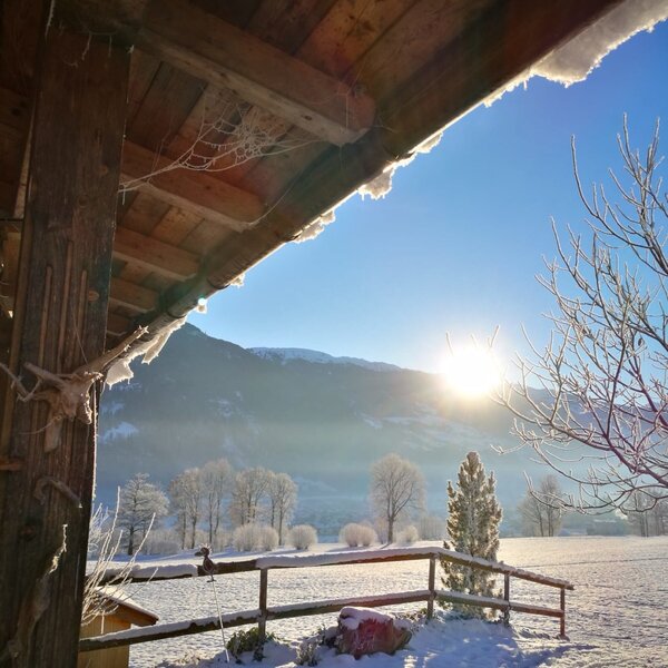 Winter Landscape