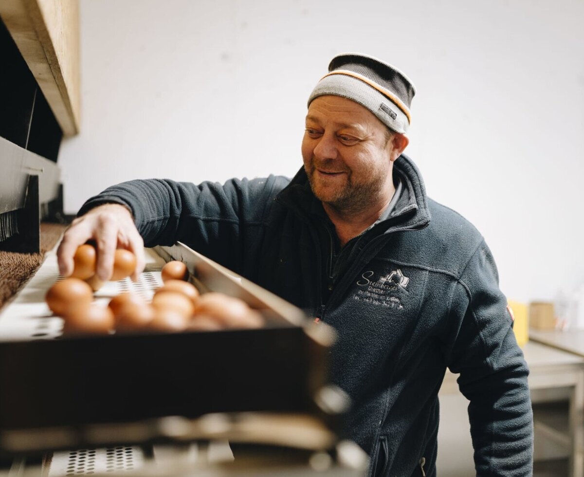 A farmhouse employee sorts fresh eggs for guests.