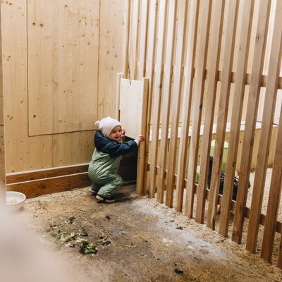 A child looks into an animal stable at the farmhouse.
