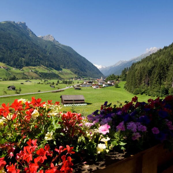 View in summer